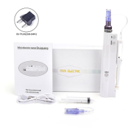 2 in 1 Mini Dr. Pen Mesotherapy Injector Nano Derma Pen Microneedle Dermapen with Multi Needles for Filler Btx Injecti