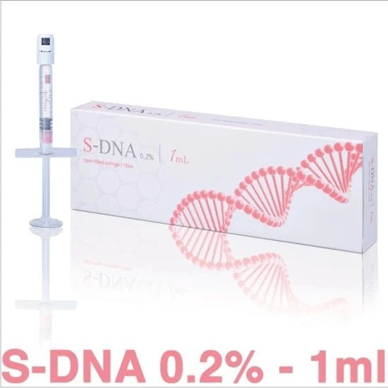 CE Best Cross Linked H-DNA S-DNA Pdrn Injectable Gel Injection Lip Augmentation Korea Dermal Filler