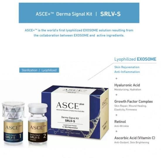 Asce Exosomes Asce+ Srlv (20mg+5ml) Plus Derma Signal Pdrn Skin Booster Skin Care Injection Anti-Aging