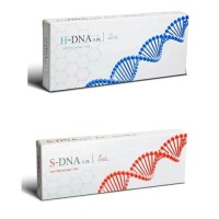 CE Best Cross Linked H-DNA S-DNA Pdrn Injectable Gel Injection Lip Augmentation Korea Dermal Filler