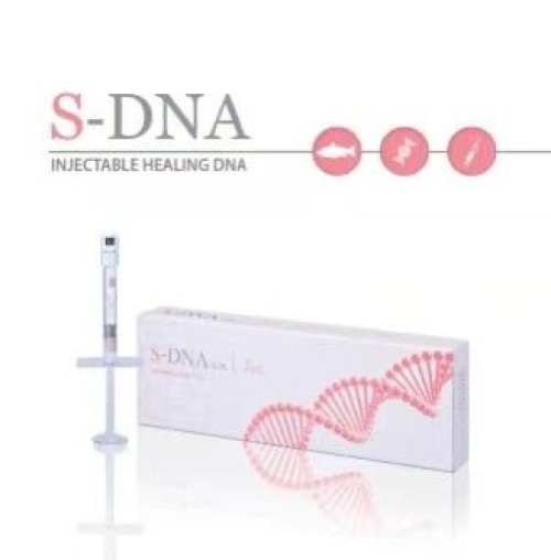 CE Best Cross Linked H-DNA S-DNA Pdrn Injectable Gel Injection Lip Augmentation Korea Dermal Filler