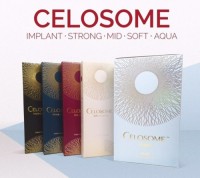 New Products Sell Like Hot Celosome Cross Linked Hyaluronic Acid Gel 1.1ml Korea Dermal Filler for Lip and Face