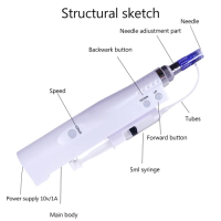 2 in 1 Mini Dr. Pen Mesotherapy Injector Nano Derma Pen Microneedle Dermapen with Multi Needles for Filler Btx Injecti